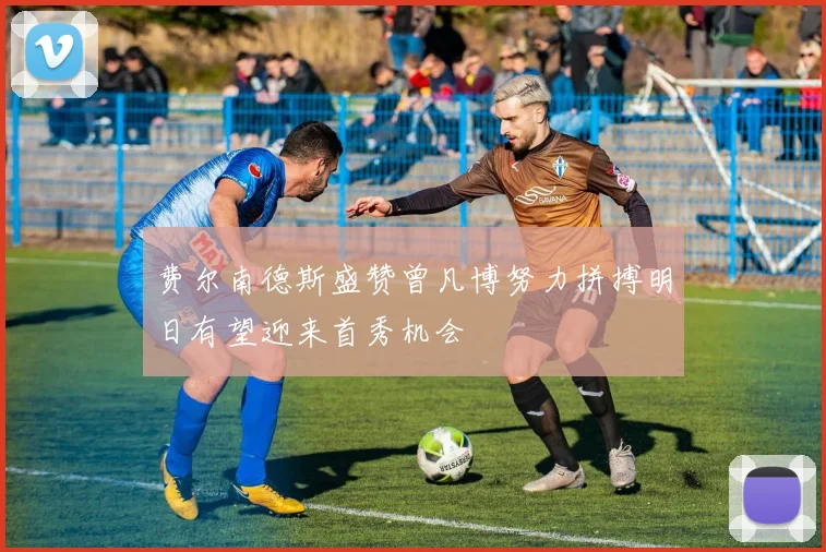 费尔南德斯盛赞曾凡博努力拼搏明日有望迎来首秀机会