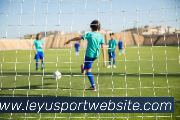 乐鱼体育服务体系