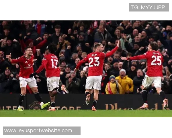 谢林汉姆认为梅努适合利兹联阿莫林的看法并不影响他的潜力